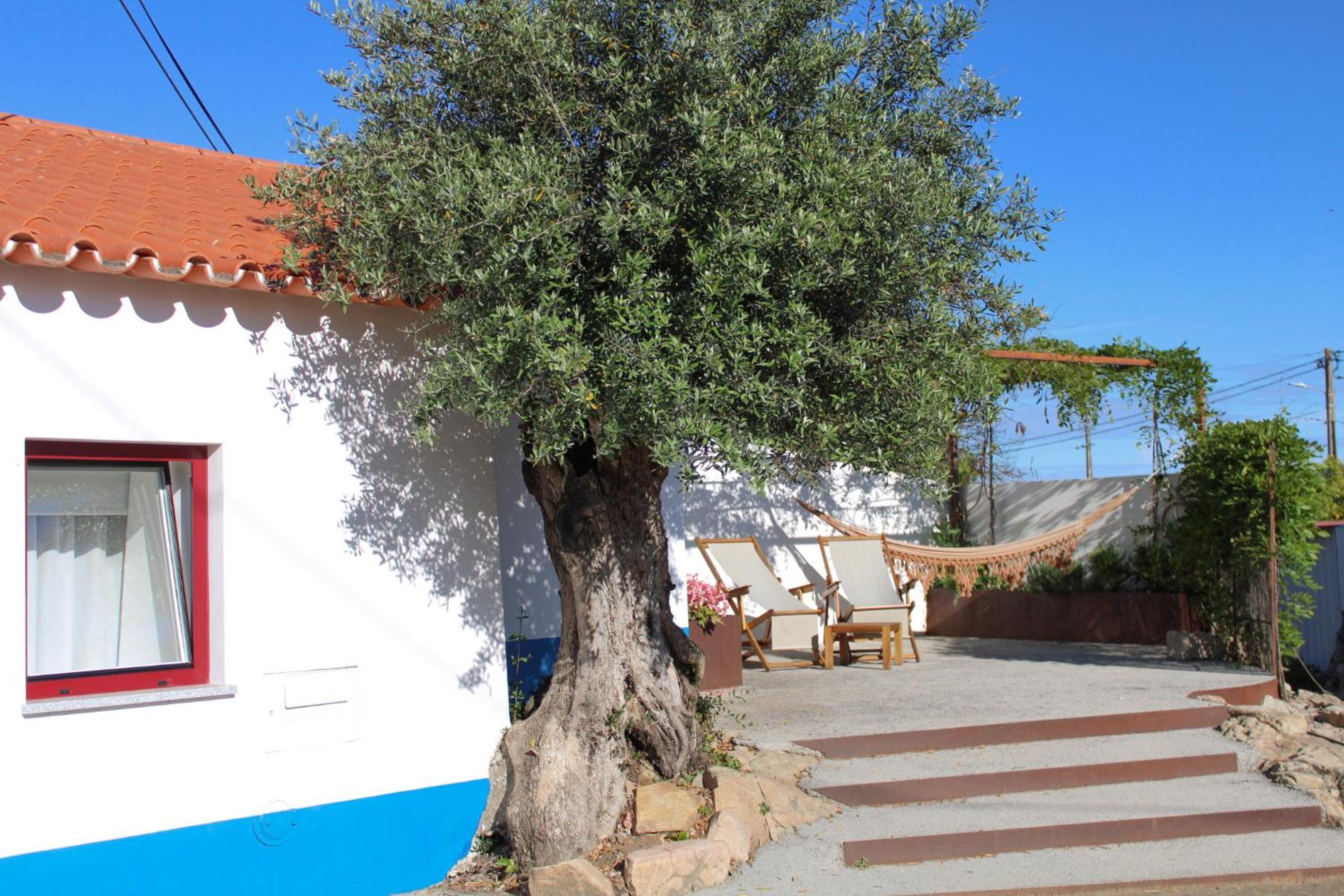 Villa São Brás do Regedouro - Turismo na Aldeia Évora Exterior foto