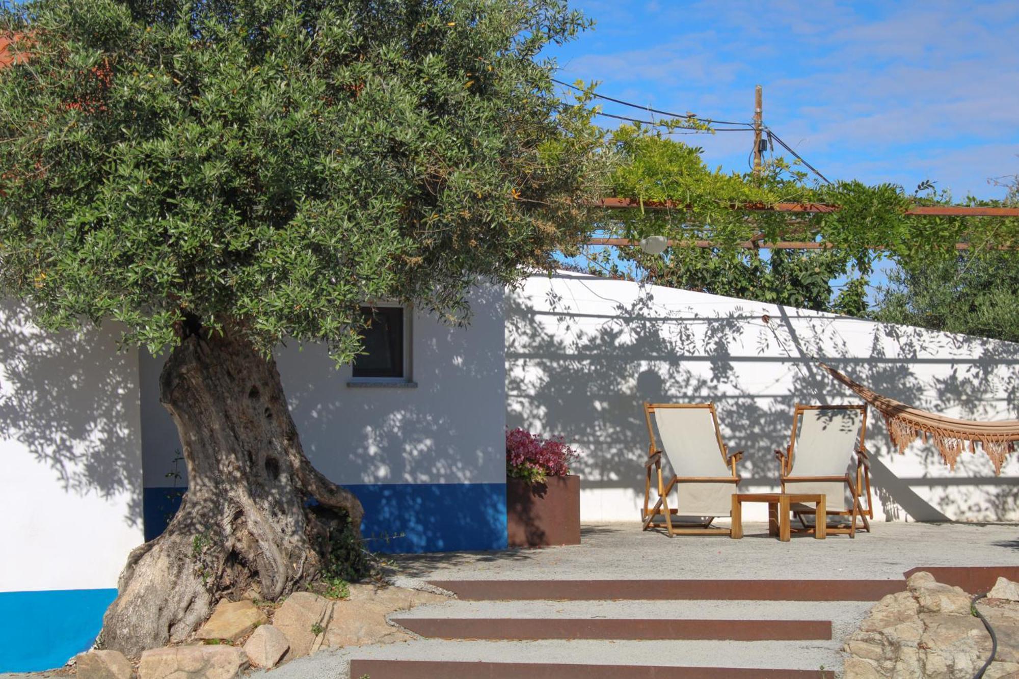 Villa São Brás do Regedouro - Turismo na Aldeia Évora Exterior foto
