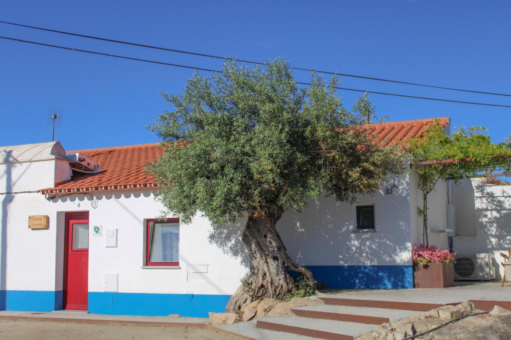 Villa São Brás do Regedouro - Turismo na Aldeia Évora Exterior foto